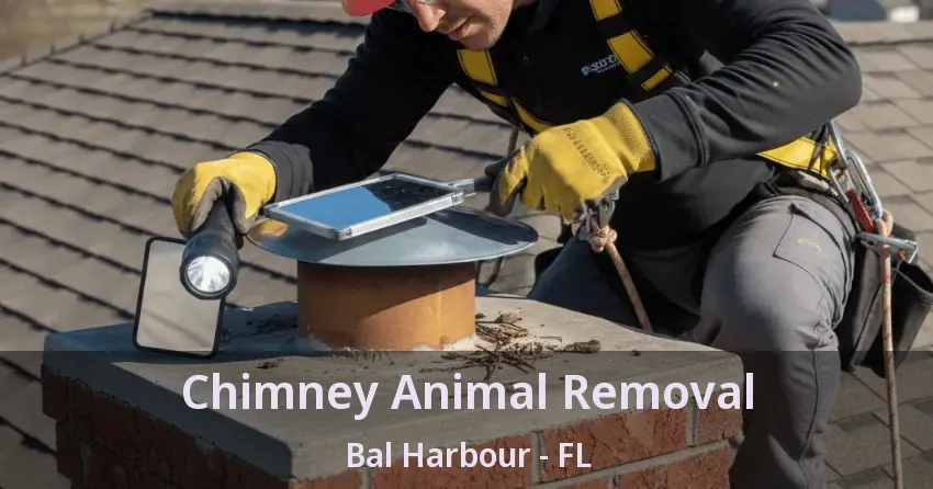 Chimney Animal Removal Bal Harbour - FL Chimney Animal Removal Bal Harbour - FL