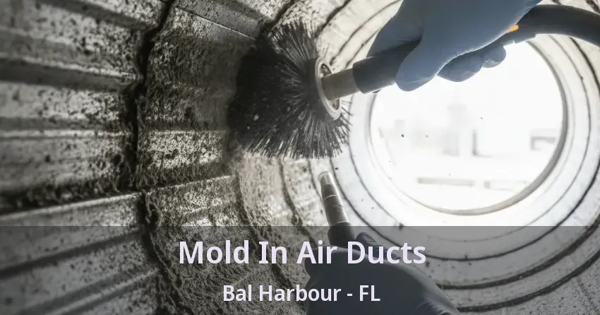 Mold In Air Ducts Bal Harbour - FL